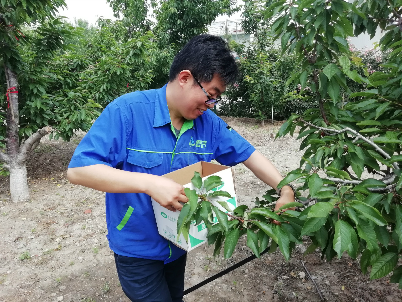 1528425247248649.jpg 微信圖片_201806081001504_meitu_3.jpg