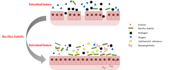 1554184546661136.png image.png