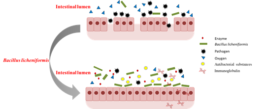 1554188182306617.png image.png