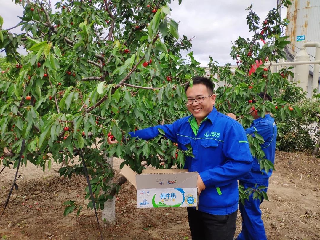 1562119659169758.jpg 2.jpg