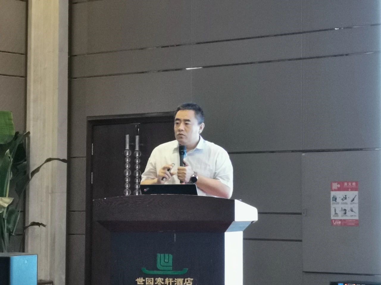 1595837339453872.jpg 22.jpg