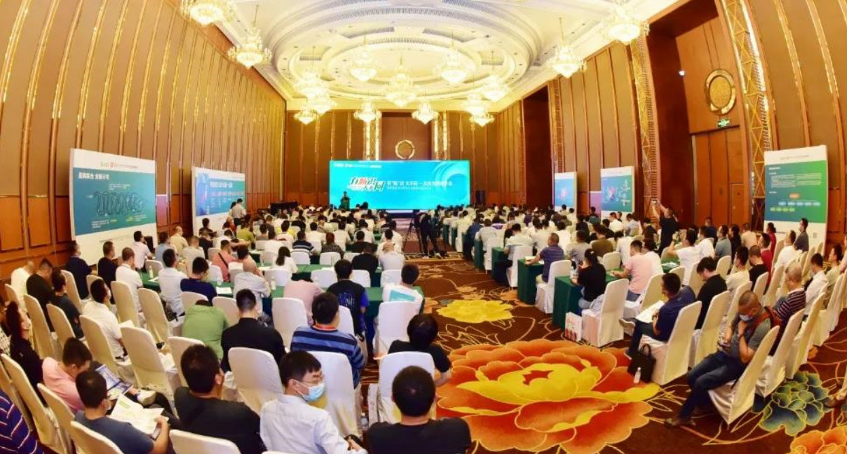 1599720289451067.jpg 1_meitu_2.jpg