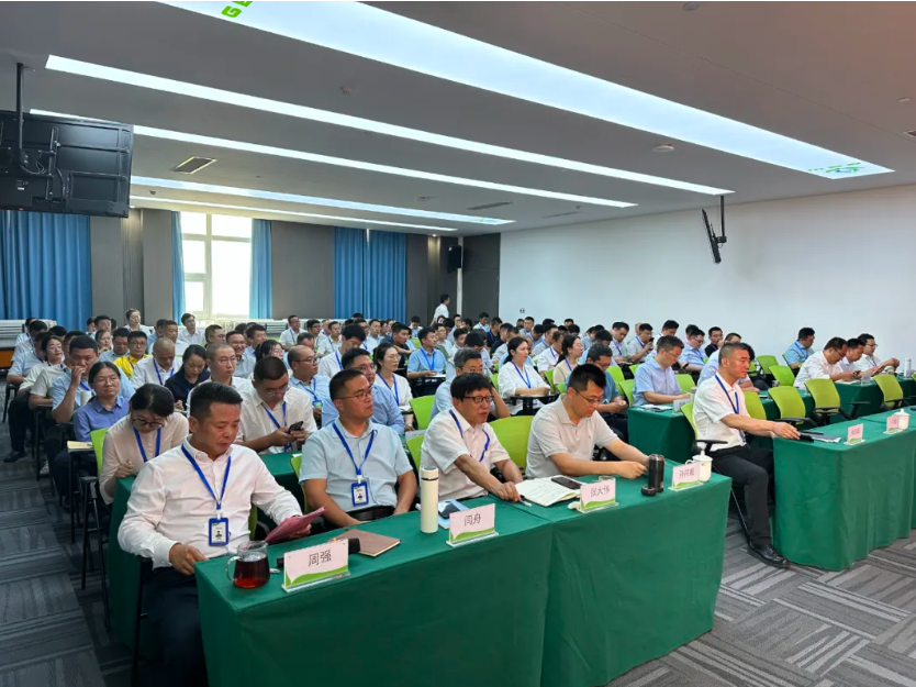 1735630212328494.jpg 1.jpg